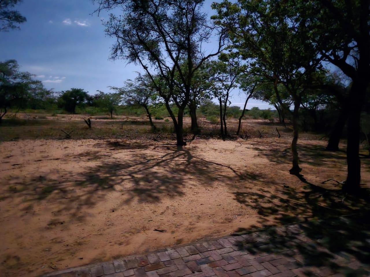 Kigeni Safari Lodge & Spa ヴァールウォーター エクステリア 写真