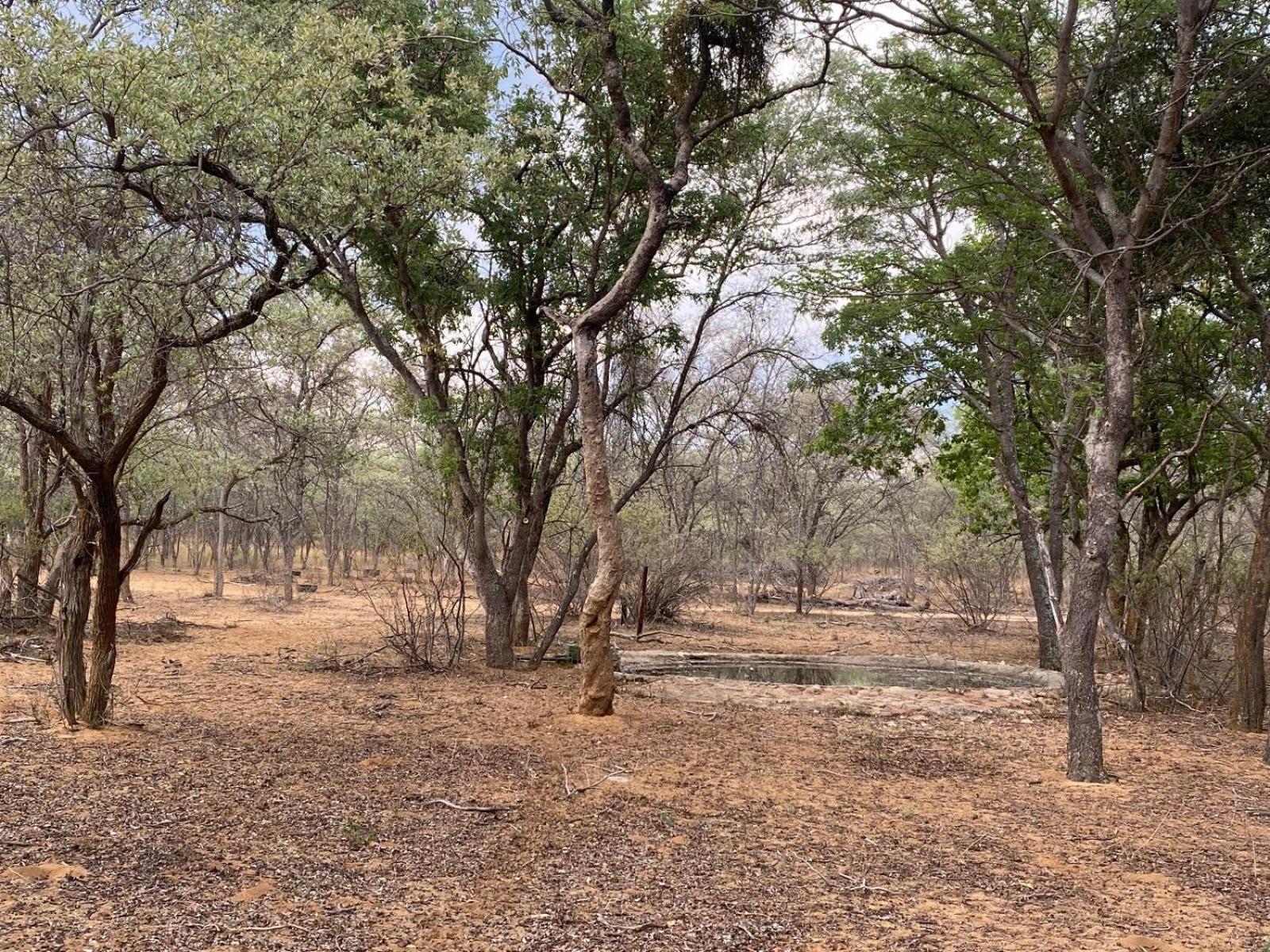 Kigeni Safari Lodge & Spa ヴァールウォーター 部屋 写真