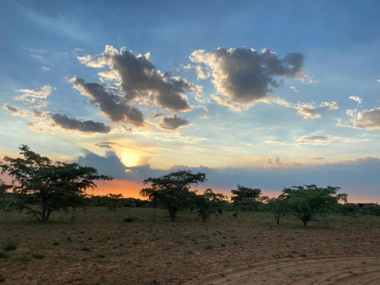 Kigeni Safari Lodge & Spa ヴァールウォーター エクステリア 写真