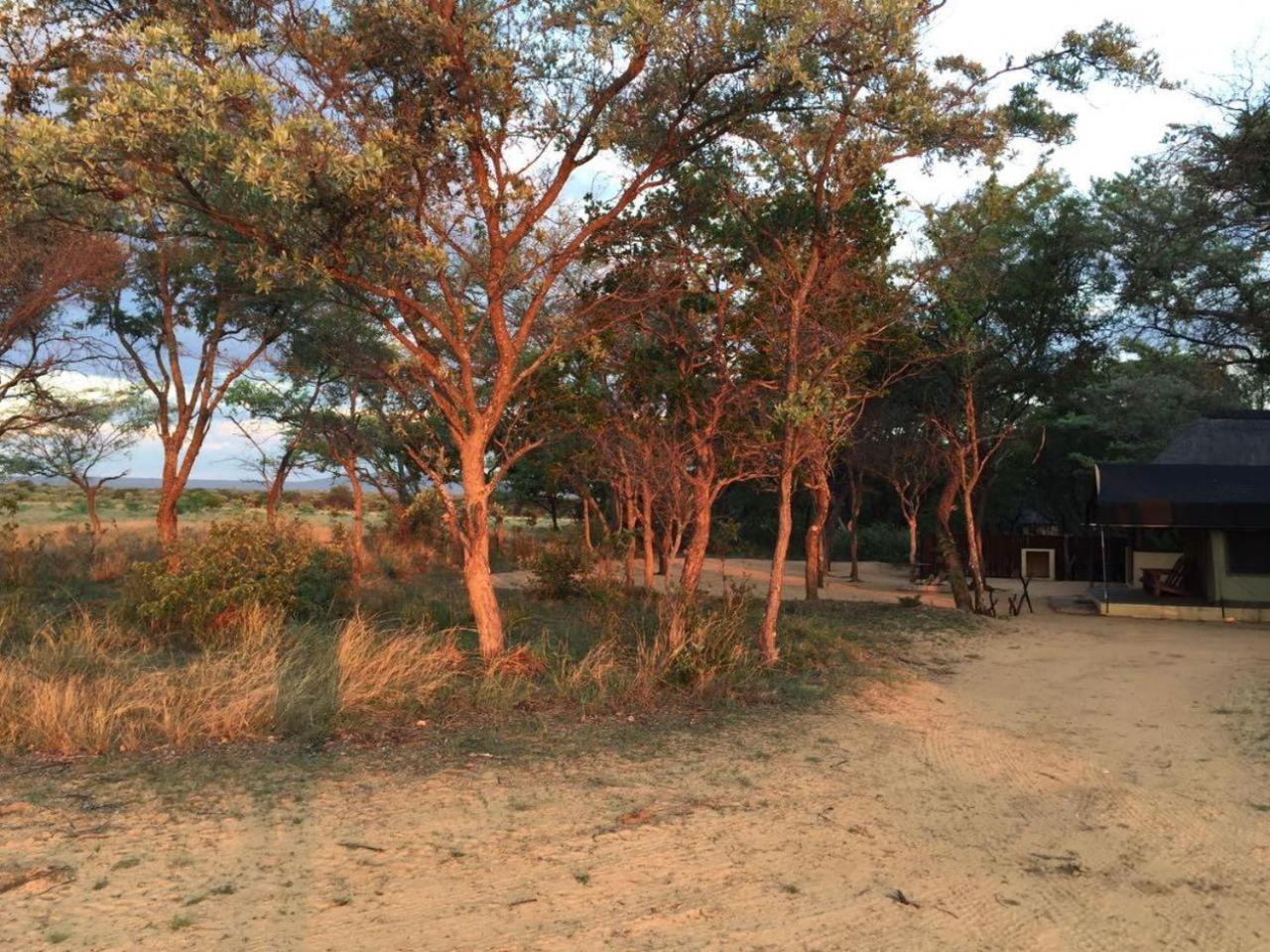 Kigeni Safari Lodge & Spa ヴァールウォーター エクステリア 写真