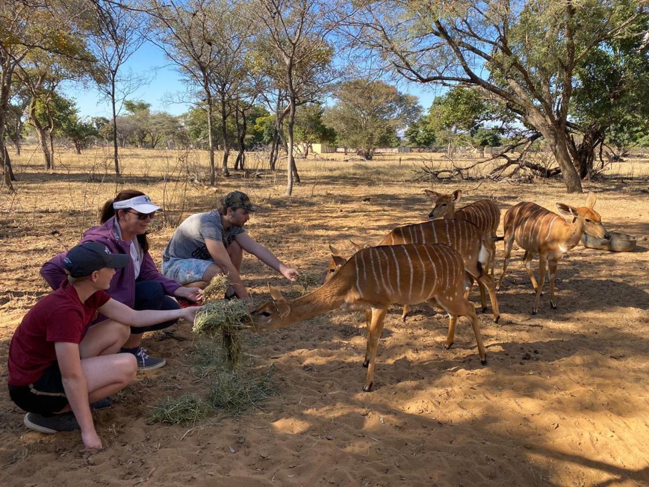 Kigeni Safari Lodge & Spa ヴァールウォーター エクステリア 写真